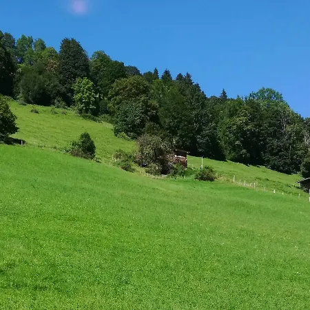 Maurer * Niederau