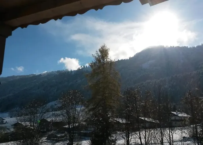 公寓 Maurer 涅德劳