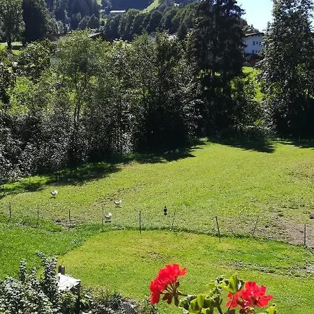 Appartement Maurer *